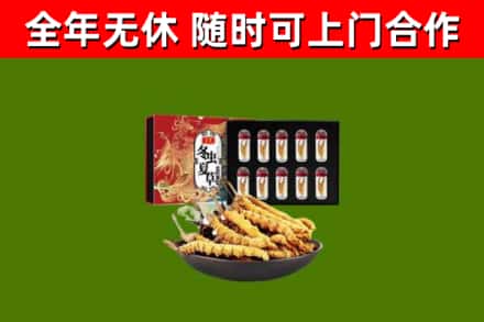 嘉峪关回收冬虫夏草价格